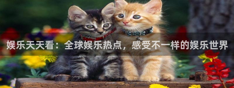 欧陆平台路线1