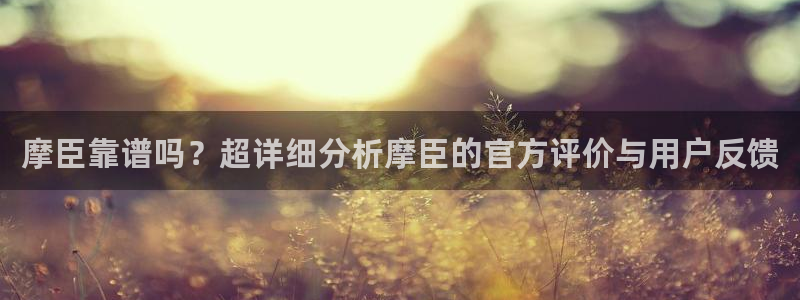 壹号电子娱乐app下载最新版