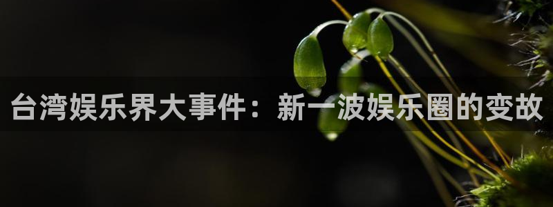 欧陆平台的平台