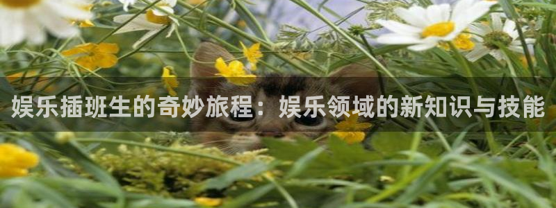 欧陆平台能退款吗