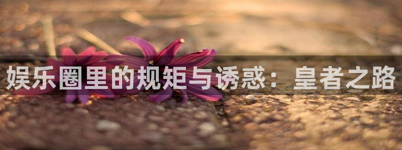 欧陆平台平台app下载