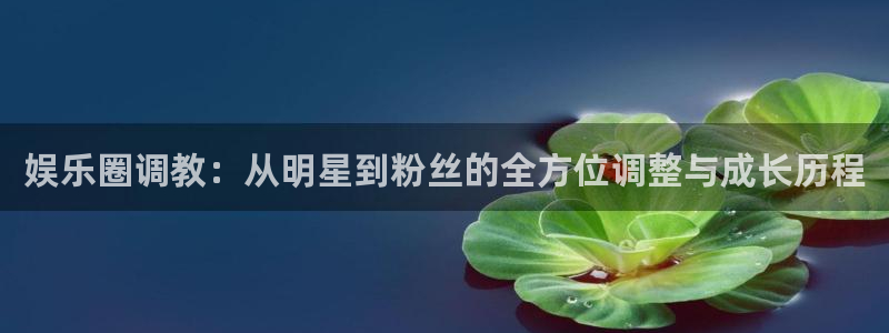 欧陆平台软件