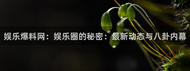 欧陆平台pg