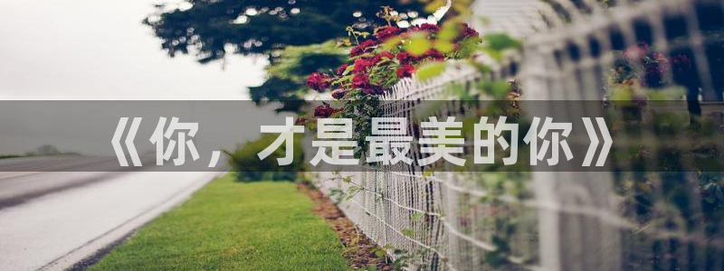 壹号平台app下载安装