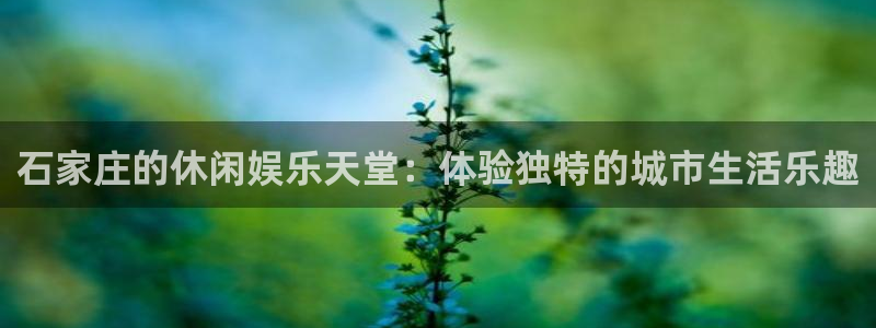 南宫欧陆平台