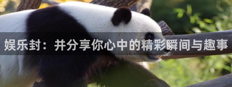 欧陆平台.ccmpc正版：娱乐封：并分享你心中的精彩瞬间与趣事