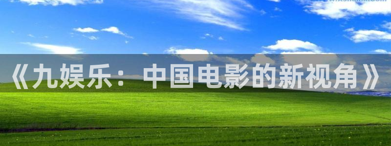欧陆平台app官网下载：《九娱乐：中国电影的新视角》