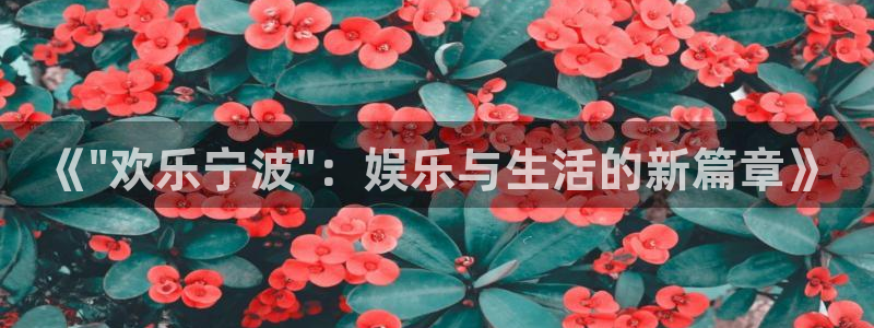 壹号app官网：《\