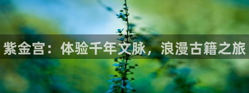 欧陆平台官网下载：紫金宫：体验千年文脉，浪漫古籍之旅