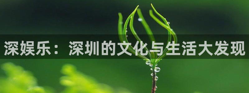 欧陆平台在线预测：深娱乐：深圳的文化与生活大发现