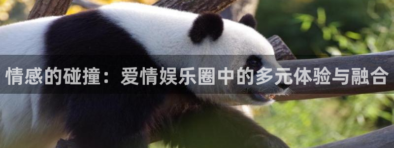 欧陆平台app下载地址：情感的碰撞：爱情娱乐圈中的多元体验与融合