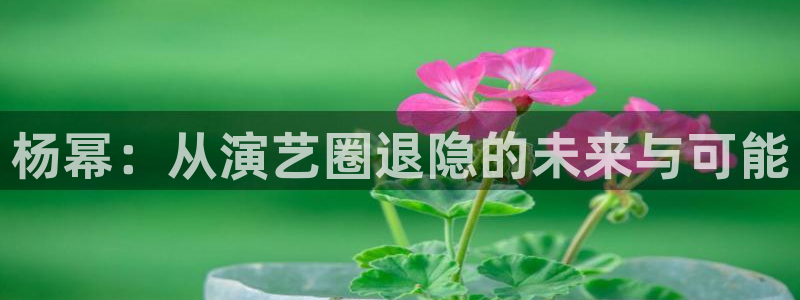 欧陆平台网站平台：杨幂：从演艺圈退隐的未来与可能