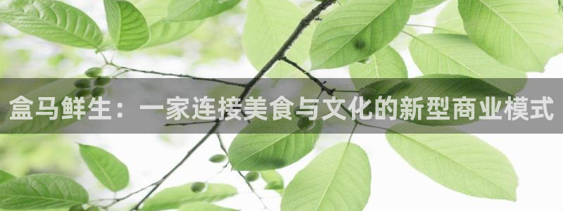欧陆平台官网下载：盒马鲜生：一家连接美食与文化的新型商业模式