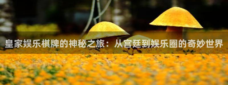 欧陆平台.ccm苹果版：皇家娱乐棋牌的神秘之旅：从宫廷到娱乐圈的奇妙世界