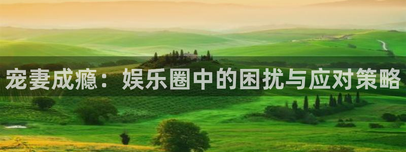 苹果版欧陆平台下载安装：宠妻成瘾：娱乐圈中的困扰与应对策略