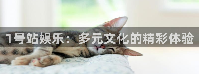 壹号大舞台网站：1号站娱乐：多元文化的精彩体验