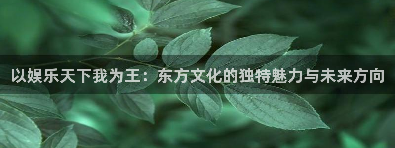 欧陆平台科技赋能,让平台更有趣：以娱乐天下我为王：东方文化的独特魅力与未来方向