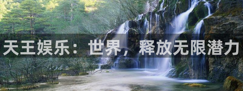 欧陆平台加拿大app预测：天王娱乐：世界，释放无限潜力