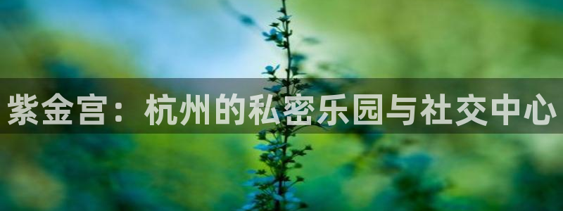 欧陆平台官网：紫金宫：杭州的私密乐园与社交中心