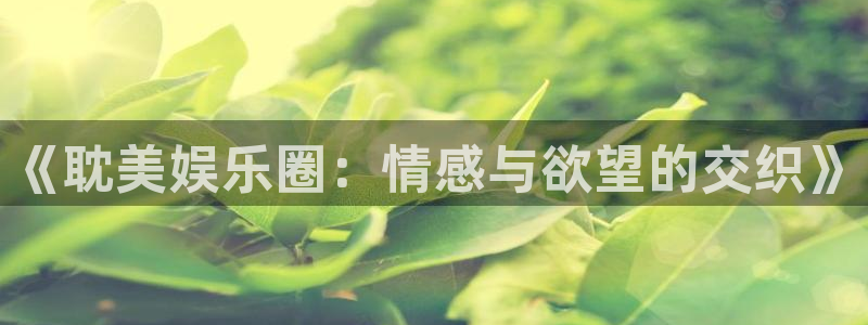 南宫欧陆平台：《耽美娱乐圈：情感与欲望的交织》