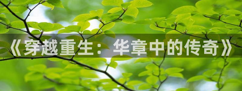 壹号app下载官方网站：《穿越重生：华章中的传奇》