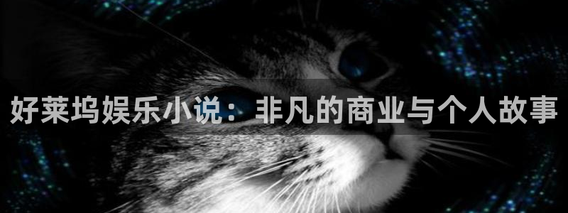 欧陆平台,apk.1：好莱坞娱乐小说：非凡的商业与个人故事