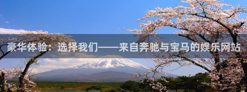 欧陆平台,apk.1：豪华体验：选择我们——来自奔驰与宝马的娱乐网站