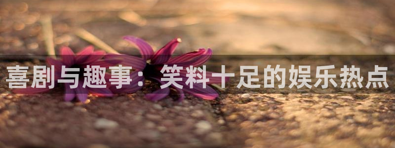 欧陆平台app官网下载：喜剧与趣事：笑料十足的娱乐热点